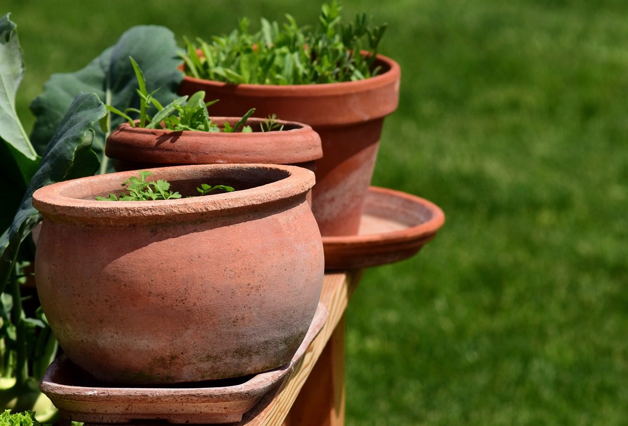 How to Grow a Herb Spiral in Your Garden